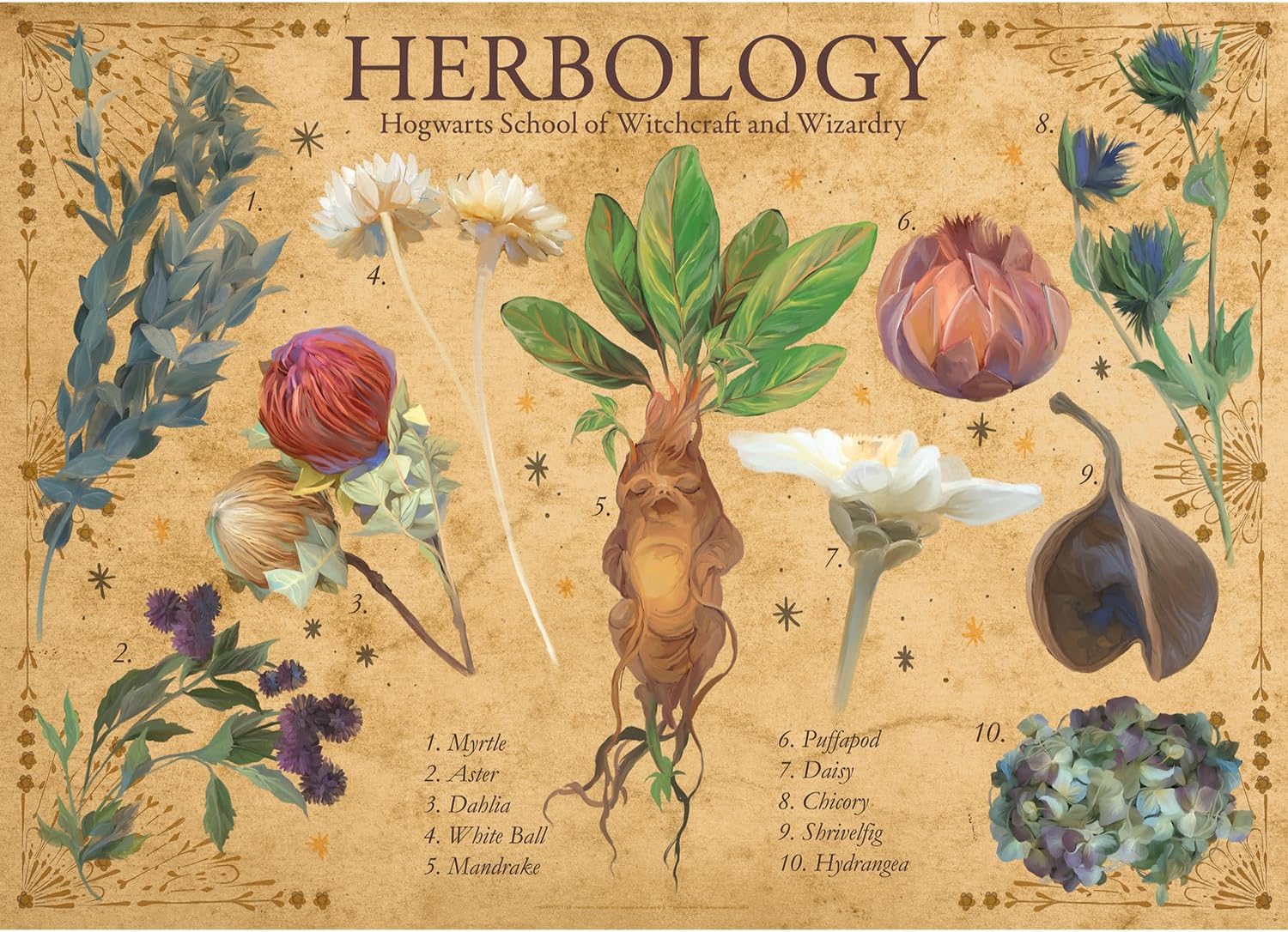 Aquarius Puzzles: Harry Potter - Herbology - Image 3