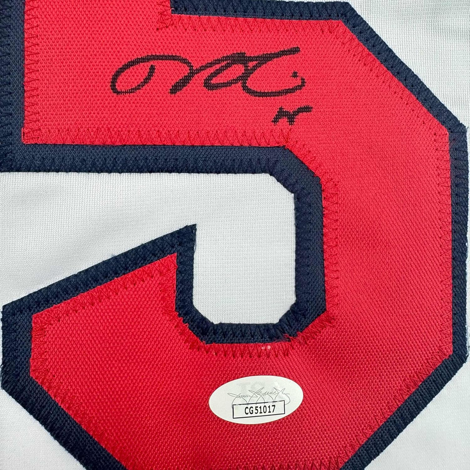 Framed Autographed/Signed Dustin Pedroia 35x39 Boston White Baseball Jersey JSA COA - Image 2