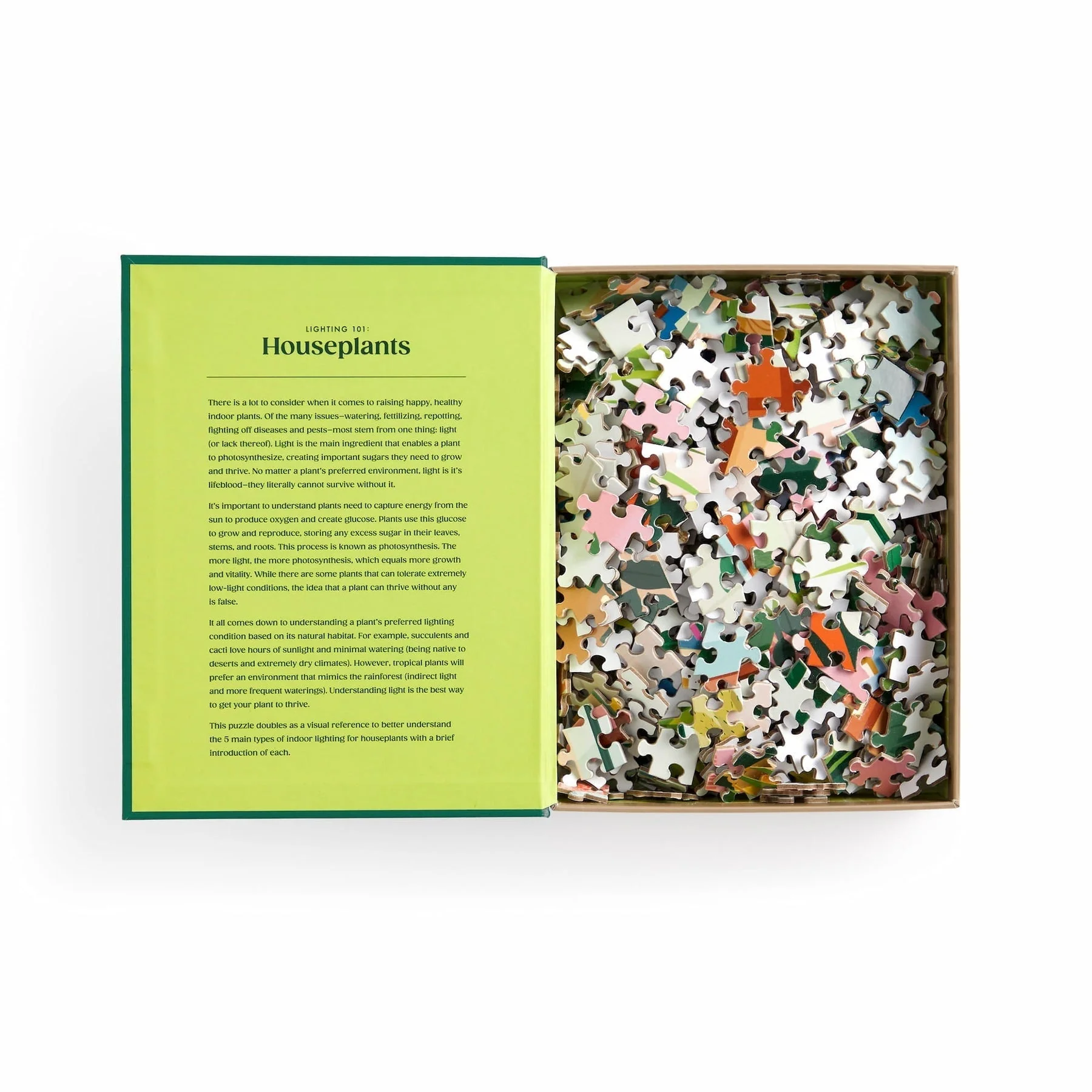 Galison Puzzles: Book Puzzle - 500 Pieces - Lighting 101 - Houseplants - Image 4