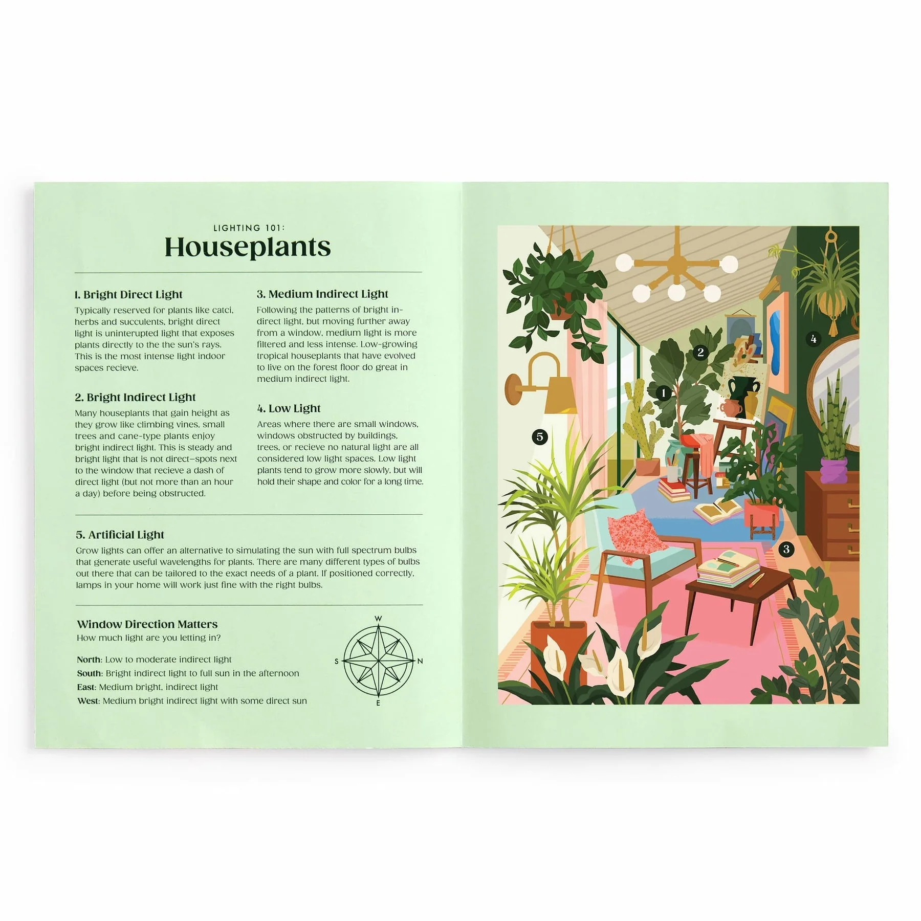 Galison Puzzles: Book Puzzle - 500 Pieces - Lighting 101 - Houseplants - Image 5