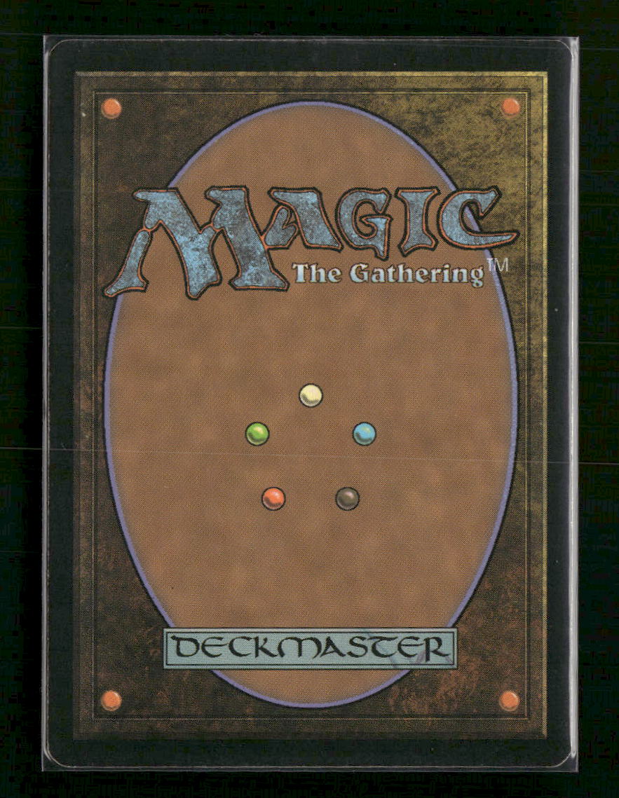 Hallowed Fountain #241 R - Return to Ravnica TCG - Image 2