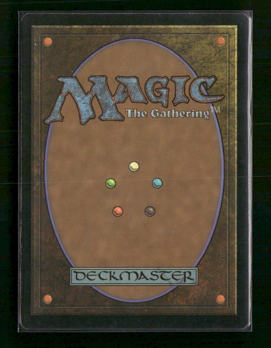 Hallowed Fountain #241 R - Return to Ravnica TCG - Image 2