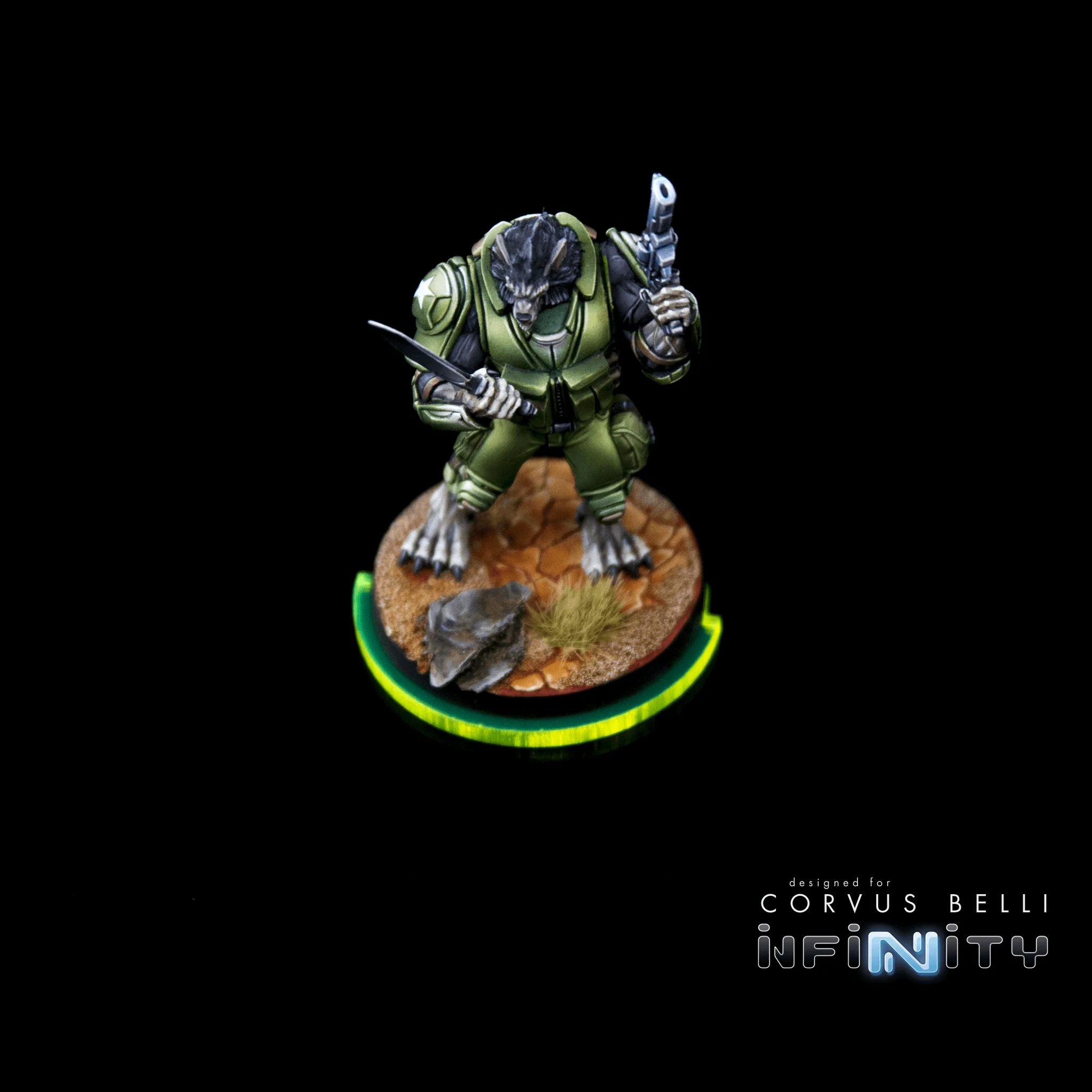 Line of Fire Status Discs - Image 3