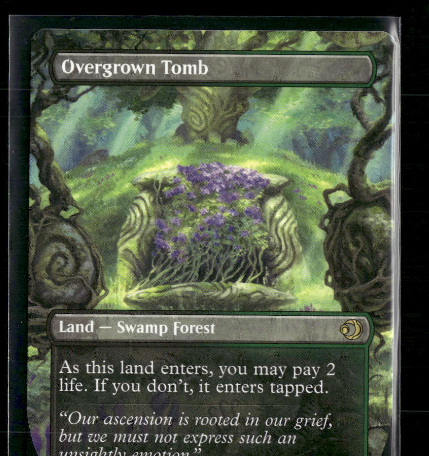 Lorwyn Eclipsed Overgrown Tomb (Borderless) #350 - Image 2