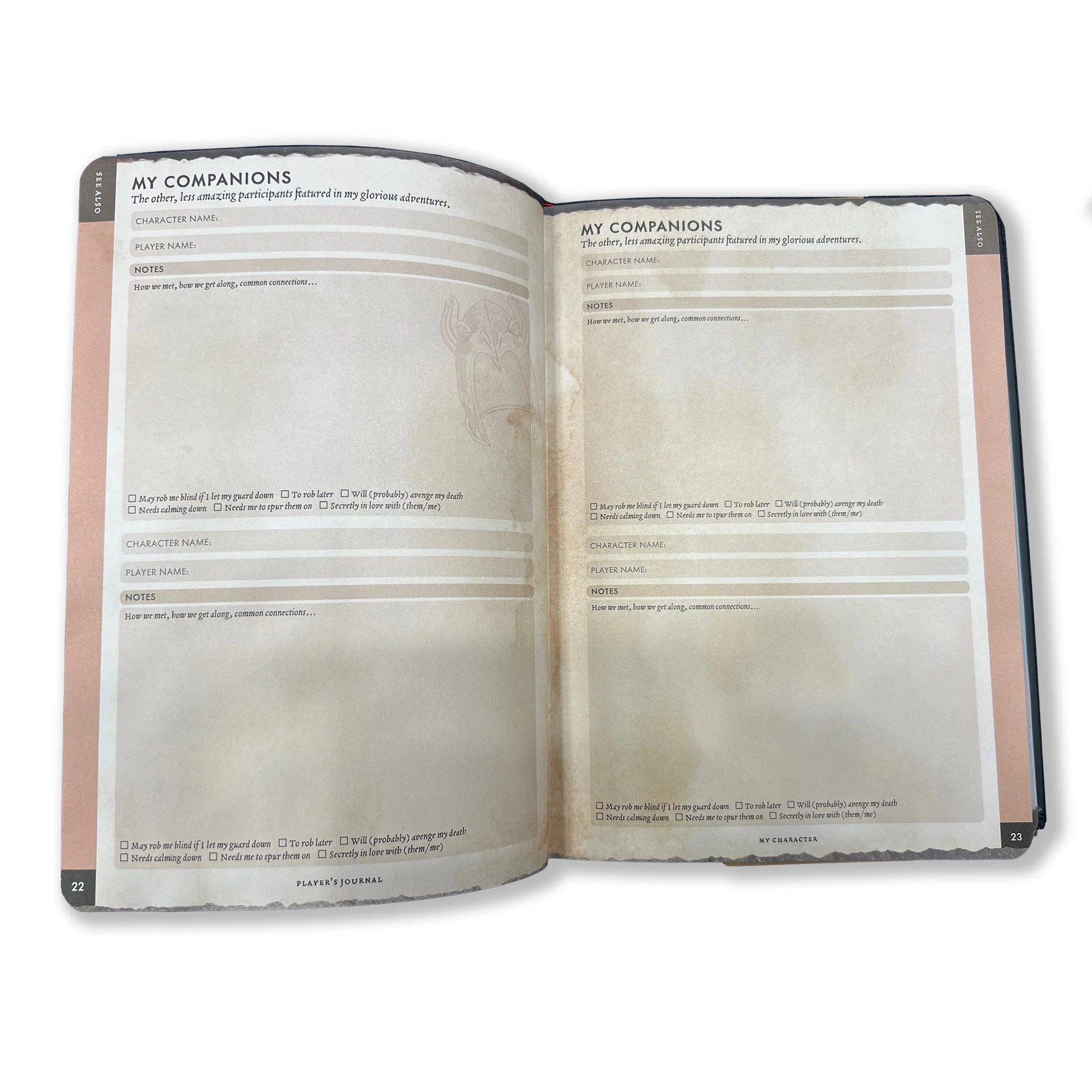 Player's Journal - Image 11