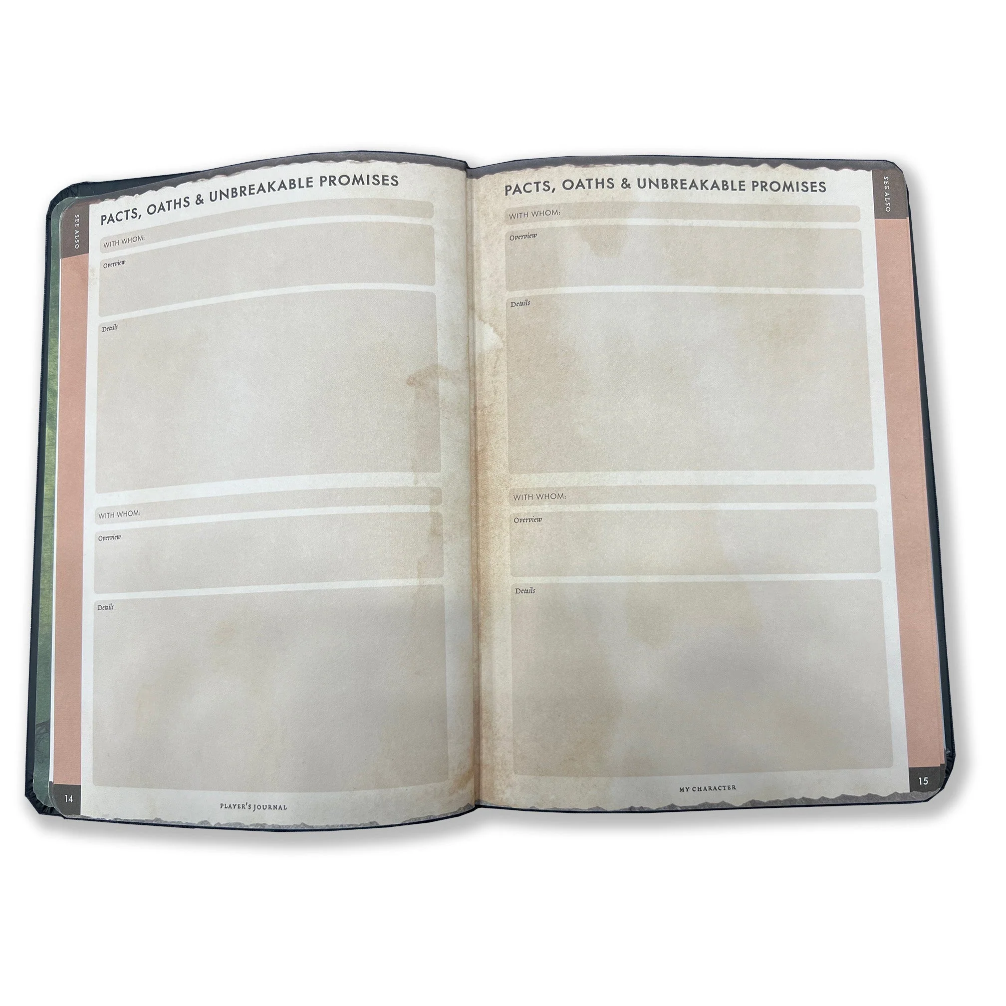 Player's Journal - Image 12