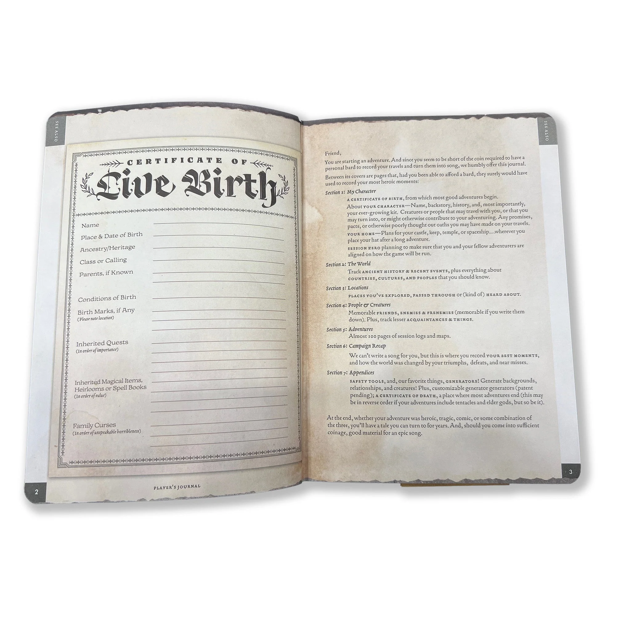Player's Journal - Image 7