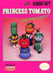 Princess Tomato in the Salad Kingdom - NES - Image 2