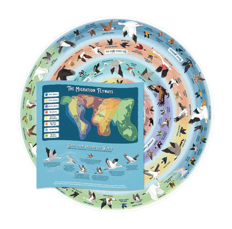 Ridley's Games Puzzles: Jigsaw Puzzle - 1000 Pieces - Bird Lover's - Image 5