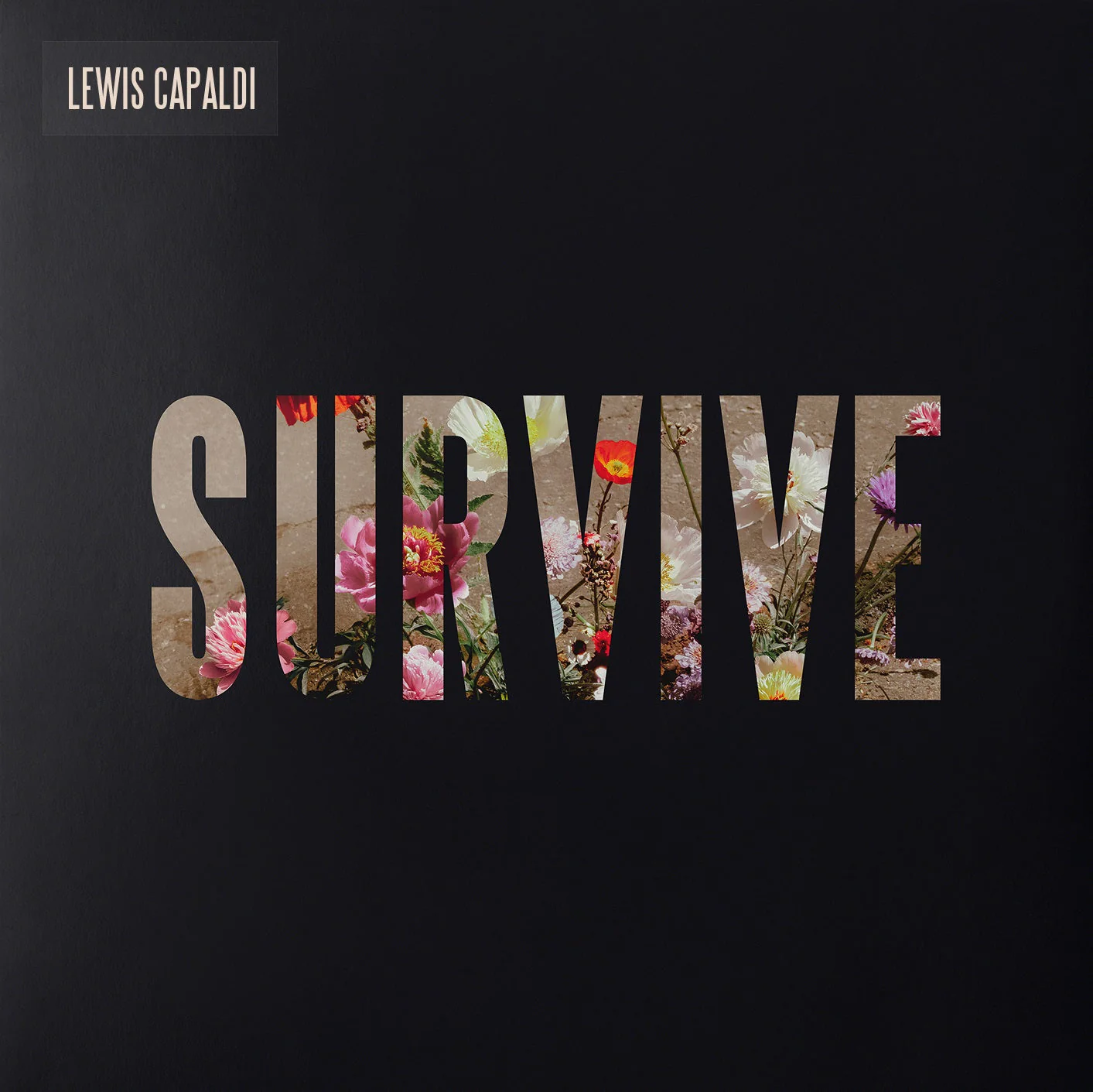 Survive [Clear 12" EP] [Vinyl] - Image 2