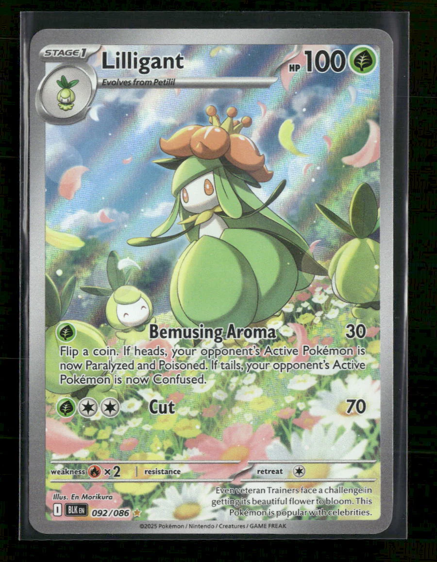 SV: Black Bolt Lilligant #092/086