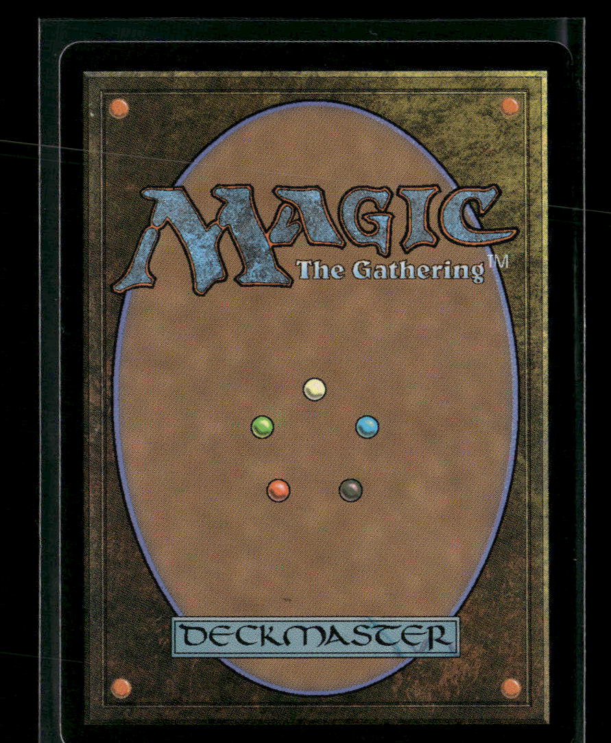 Tarkir: Dragonstorm Mistrise Village (Borderless) Foil #397 - Image 2